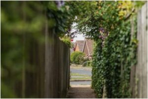 5 Privacy Tips for Protecting Your Home from Prying Eyes garden beside house