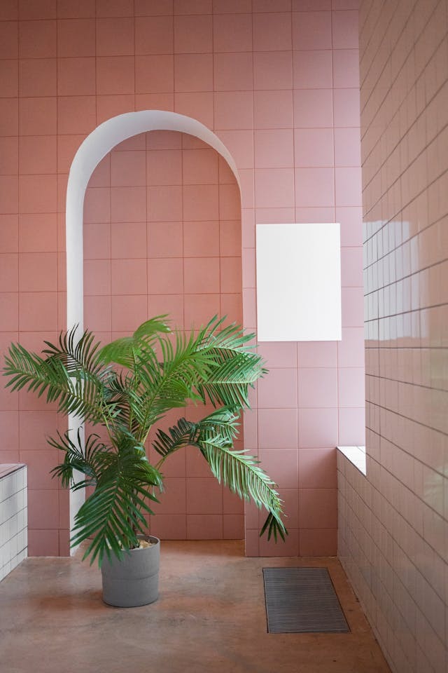 minimalist interior with green plant and pink wall