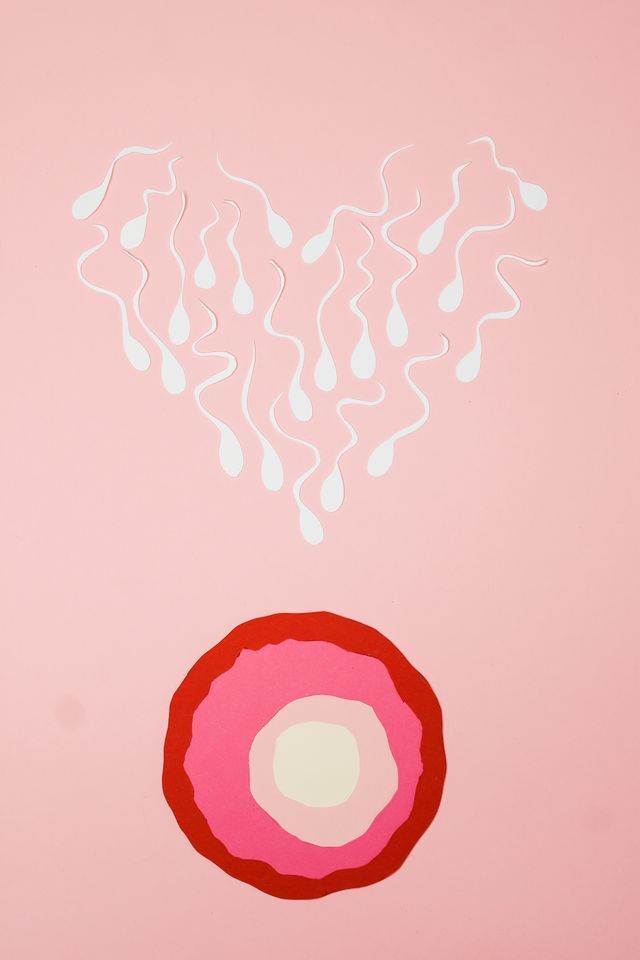 abstract illustration of sperm fertilization on a pink background