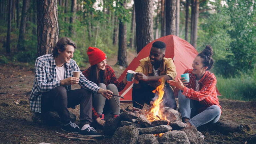 friends gathered around a campfire in a forest
