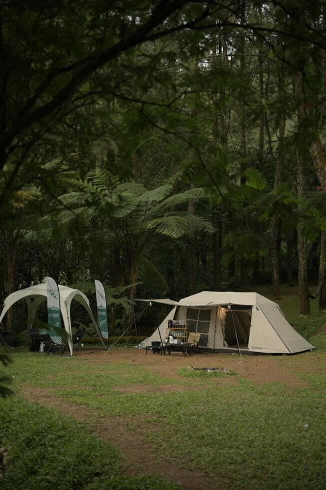 cozy tent nestled in lush West Java forest, perfect for outdoor adventure