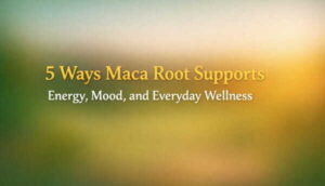 5 Ways Maca Root Supports Energy, Mood, and Everyday Wellness maca root supports banner image