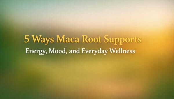 maca root supports banner image